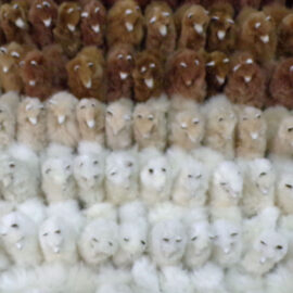Handmade Alpaca Fur Llama Teddy: 10″ Peruvian Plush Toy